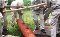 Phát hiện bom hơn 200kg tại Quảng Trị