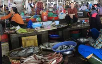 Bộ Y tế khuyến cáo 154 mẫu hải sản miền Trung không nên ăn