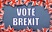 Cử tri Anh bỏ phiếu Brexit: Con cá mất là con cá to?