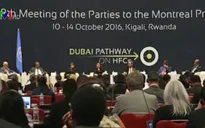 Nhóm BRICS hợp tác để đối phó với các thách thức