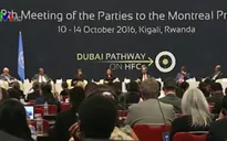 Các nước thành viên BRICS cần tăng cường hợp tác để vượt qua thách thức