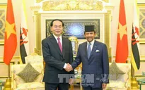 Tuyên bố chung Việt Nam - Brunei Darussalam