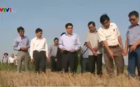 Bộ trưởng Bộ NN&PTNT kiểm tra hạn hán, xâm nhập mặn tại Kiên Giang