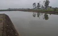 Hai học sinh ở Quảng Trị bị đuối nước