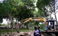 TP.HCM: Xử lý hàng chục cây xanh phục vụ thi công tuyến metro