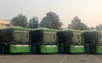 Ngày 31/12, người dân Hà Nội có thể sử dụng xe bus nhanh