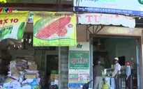 Phức tạp thị trường thuốc bảo vệ thực vật