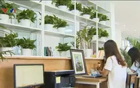 Xu hướng thiết kế văn phòng ngập thiên nhiên