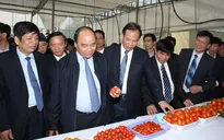 Phó Thủ tướng Nguyễn Xuân Phúc thăm, chúc Tết tại tỉnh Hải Dương