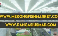 Sẽ có sàn giao dịch cá tra