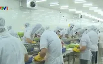 Cảnh báo lừa xuất khẩu lao động sang Trung Quốc