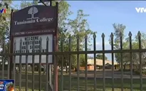 Australia: Nhóm thanh niên bịt mặt thả cá sấu vào trường học