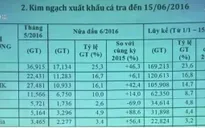 Kim ngạch xuất khẩu cá tra đã tăng 5,5%