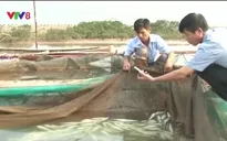 Bộ NN&PTNT chỉ đạo không tiêu thụ hải sản không an toàn