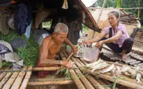 Thanh Hóa: Hơn 8 tấn cá nuôi lồng bè chết trắng