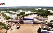 Cà Mau chống xâm nhập mặn như thế nào?