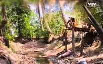 Hơn 7000 hộ dân thiếu nước sinh hoạt tại Cà Mau