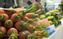 Để cung cầu giữa Hà Nội với các địa phương không "gãy khúc"