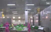Cá tra vào thị trường Mỹ: Chồng chất khó khăn