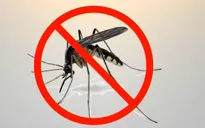 Các biện pháp phòng chống dịch bệnh do virus Zika