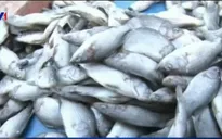 Đà Nẵng hỗ trợ ngư dân và tiểu thương hơn 2 tỉ đồng
