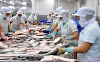Lô hàng cá da trơn của 2 doanh nghiệp Việt Nam bị nhiễm hóa chất