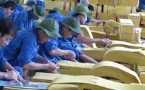 TP.HCM tổ chức lại 13 cơ sở cai nghiện ma túy
