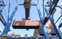 Tập đoàn Hanjin phá sản chưa ảnh hưởng nhiều tới Việt Nam