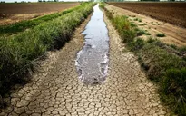 California đối phó với hạn hán kéo dài