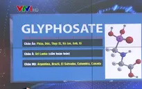 Nhiều quốc gia cấm sử dụng hoạt chất Glyphosate