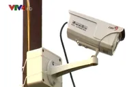 Lắp camera giám sát rau an toàn