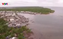 Cà Mau: Đê biển sạt lở nghiêm trọng