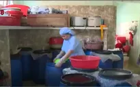 Làng nghề chế biến hải sản phục hồi sau sự cố môi trường biển