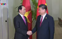 Chủ tịch nước Trần Đại Quang gặp mặt các lãnh đạo APEC ​