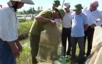 Quảng Trị đưa cán bộ về giúp dân vùng biển hậu sự cố môi trường