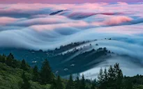 "Nghẹt thở" trước vẻ đẹp huyền ảo của San Francisco giữa làn sương mù