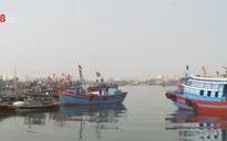 TT-Huế: Tàu đánh bắt xa bờ công suất lớn tăng mạnh