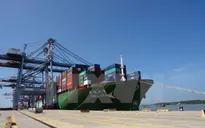 Đẩy mạnh khả năng hoạt động của cảng Cái Mép - Thị Vải