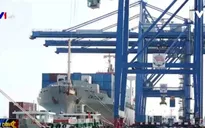Nhiều DN Việt thiệt hại do hàng hóa kẹt trên tàu Hanjin