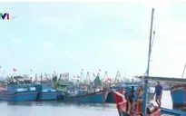 Ngư dân Khánh Hòa được mùa cá đầu năm
