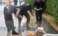 Indonesia kết án tù 7 đối tượng liên quan đến IS