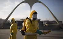 WHO cảnh báo sự lây lan nguy hiểm của virus Zika