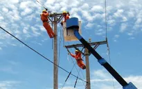 Cấp điện lưới quốc gia cho 1.500 hộ dân vùng sâu Cà Mau