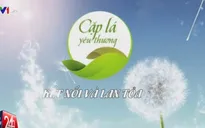 Sức lan tỏa mạnh mẽ của Cặp lá yêu thương