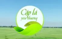 Cặp lá yêu thương và hành trình hiện thực hóa ước mơ cho trẻ em nghèo Thái Bình