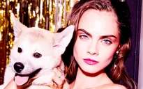Cara Delevingne khoe vẻ gợi cảm bên thú cưng