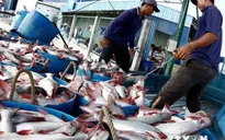 Mỹ công nhận 45 cơ sở chế biến cá tra của Việt Nam