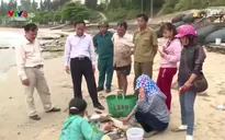 Thủ tướng chỉ đạo giải quyết vụ cá chết bất thường
