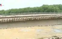 Lãng phí vốn ngân sách với hàng loạt cây cầu dang dở tại Quảng Trị