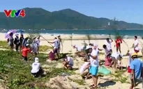 Đoàn thanh niên sinh viên kiều bào tham gia trồng cây tại Đà Nẵng